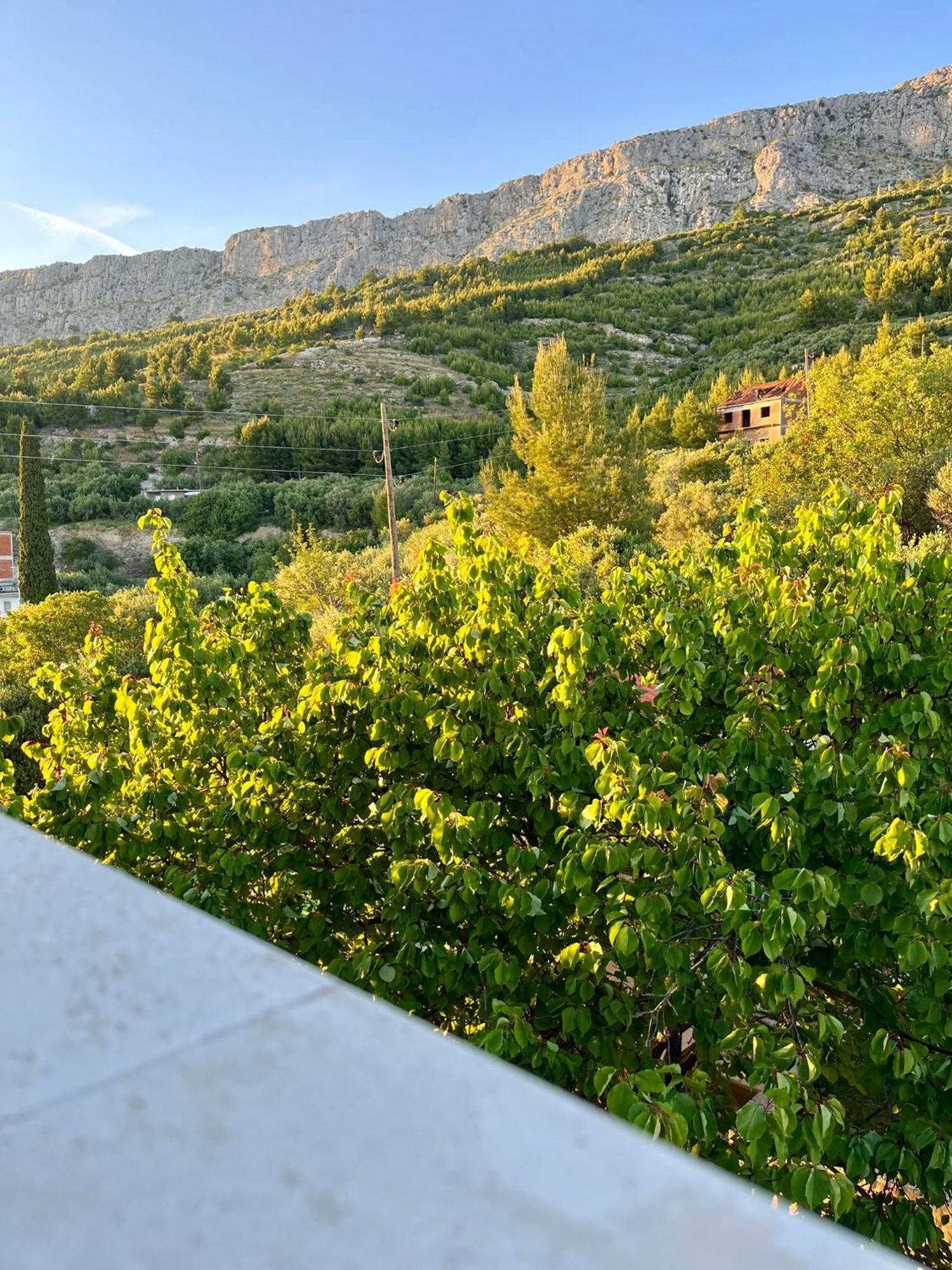 Apartments Curnic Jesenice  Luaran gambar